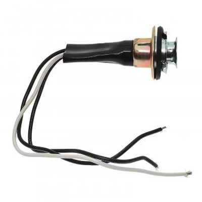 BWD AUTOMOTIVE - PT117 - Electrical Socket pa1