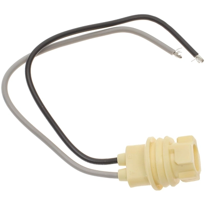 BWD AUTOMOTIVE - PT85 - Electrical Socket pa1