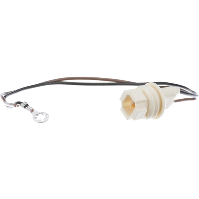STANDARD - PRO SERIES - S99 - Electrical Socket pa4