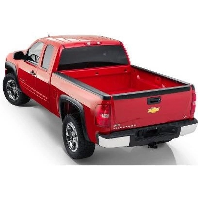 Side Rail Protector by BUSHWACKER - 49520 pa2