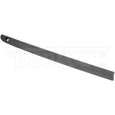 Side Rail Protector by DORMAN (OE SOLUTIONS) - 926-924 pa1