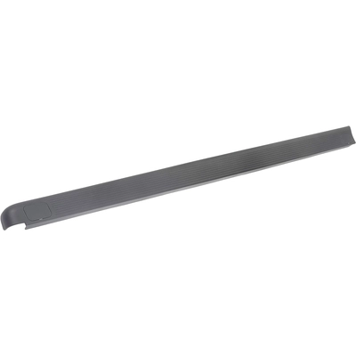 DORMAN (OE SOLUTIONS) - 926-929 - Truck Bed Side Rail Protector pa1