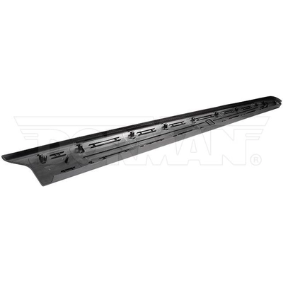 Side Rail Protector by DORMAN (OE SOLUTIONS) - 926-943 pa1