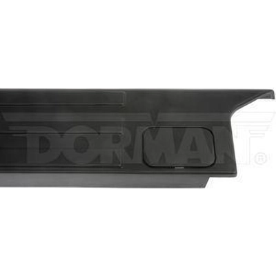 Protecteur de rail lat�ral by DORMAN (OE SOLUTIONS) - 926-945 pa6