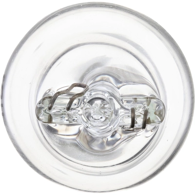 PHILIPS - 916LLB2 - Tail Light Bulb pa8