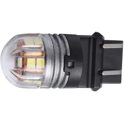 PUTCO LIGHTING - C3157A - LumaCore LED Bulbs pa2