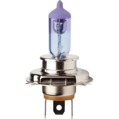Single Halogen Bulb by PIAA - 70476 pa2