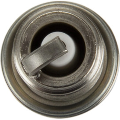 Spark Plug by GENUINE OE - 31286359 pa2