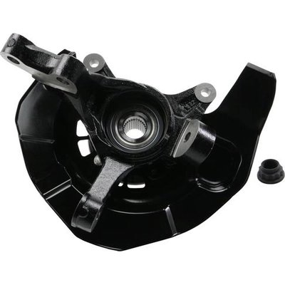 Spindle Knuckle by MOOG - LK025 pa1
