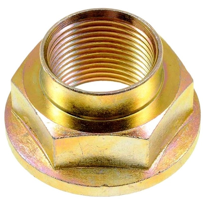 DORMAN - 615-160 - Rear Spindle Nut Kit pa1