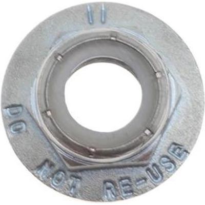 RAYBESTOS - 28541 - Spindle Nut pa6