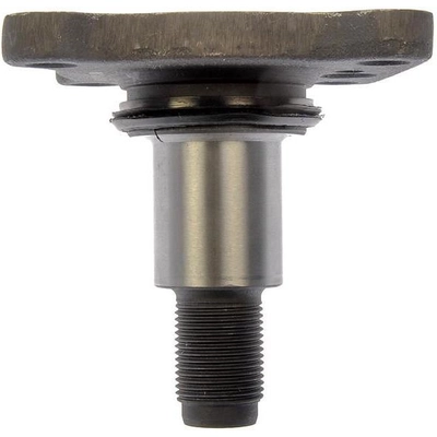 DORMAN (OE SOLUTIONS) - 905-300 - Spindle Stub Shaft pa6