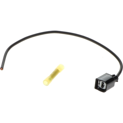 BLUE STREAK (HYGRADE MOTOR) - S2803 - Starter Solenoid Connector pa4