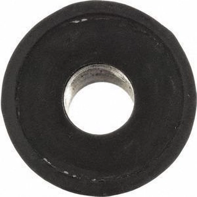 Steering Gear Mounting Bushing by DELPHI - TD4894W pa12