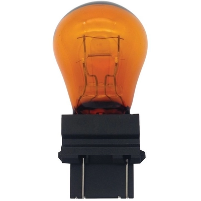 HELLA - 3757A - Sun Visor Light Bulb pa1