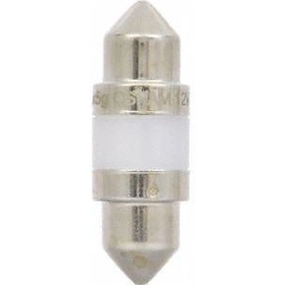 Step Or Courtesy Light by SYLVANIA - DE3175LED.BP pa7