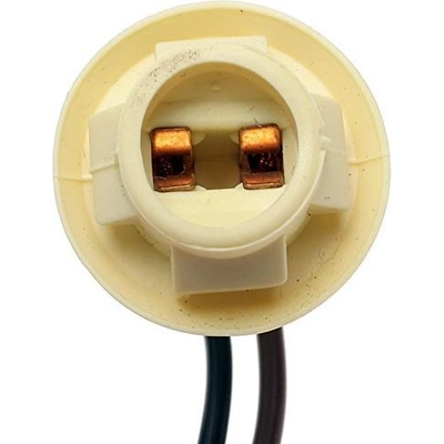 ACDELCO - LS247 - Light Bulb Sockets pa8