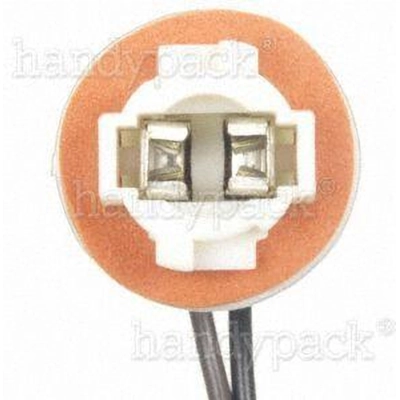 Step or Courtesy Socket by BLUE STREAK (HYGRADE MOTOR) - HP3845 pa19