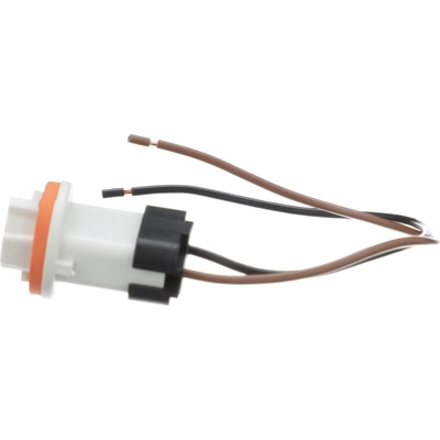 BWD AUTOMOTIVE - PT5603 - Tail Lamp Socket pa6