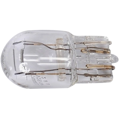 ACDELCO - 13503361 - Halogen Bulb pa1