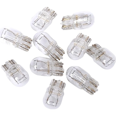 ACDELCO - 13503361 - Halogen Bulb pa2