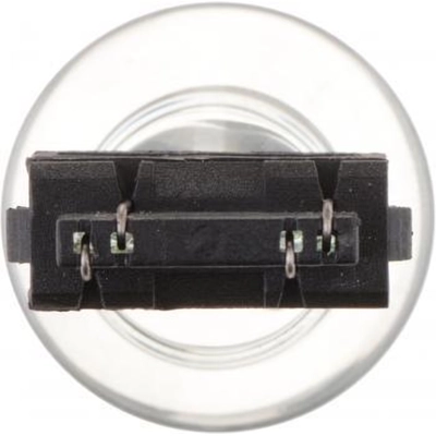 Stop Light (Pack of 10) by PHILIPS - 3457CP pa5