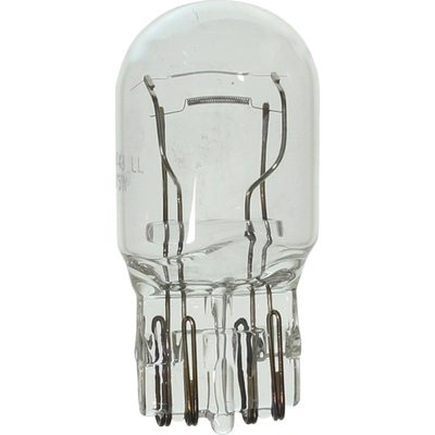 Stop Light (Pack of 2) by WAGNER - BP7443LL pa1