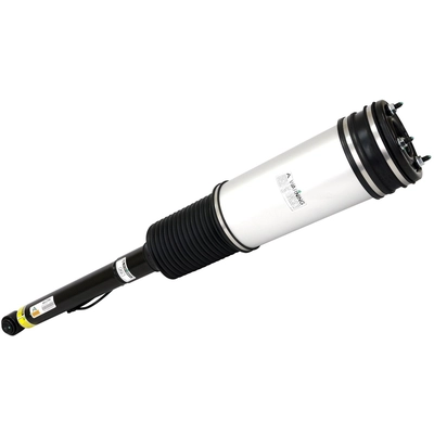 ARNOTT - AS2194 - Air Suspension Strut pa1