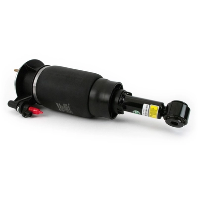 ARNOTT - AS3461 - Air Strut pa2