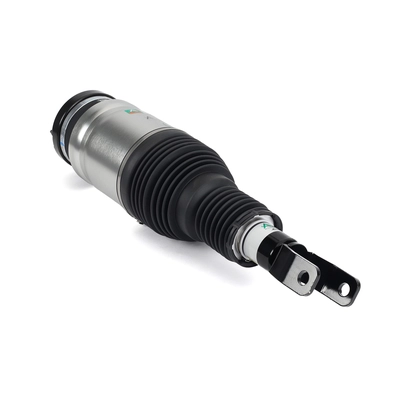 ARNOTT - AS3618 - Air Suspension Strut pa1