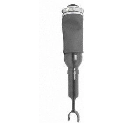 Suspension Air Strut by UNITY AUTOMOTIVE - 17129900 pa1