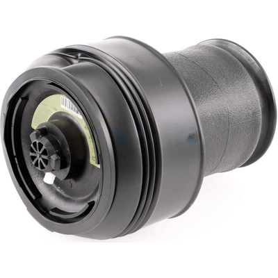 Suspension Air Strut by VEMO - V205000151 pa11