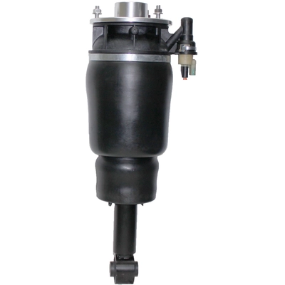 Suspension Air Strut by WESTAR INDUSTRIES - AS7315 pa1