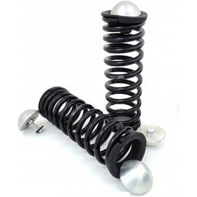 Suspension Conversion Kit by ARNOTT - C2518 pa1