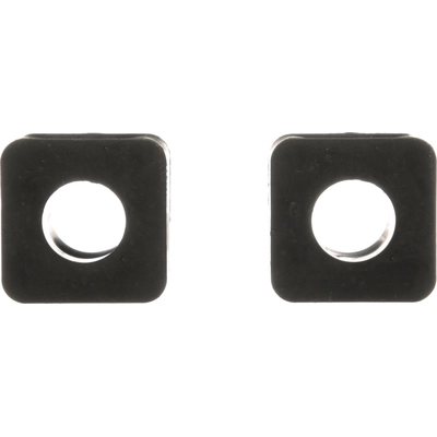 Sway Bar Frame Bushing Or Kit by DELPHI - TD4557W pa2