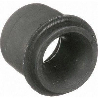 Sway Bar Frame Bushing Or Kit by DELPHI - TD4028W pa4