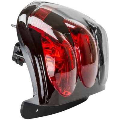 TYC - 11-5829-00 - Tail Light Assembly pa8