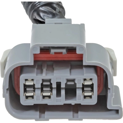 Tail Light Harness by BLUE STREAK (HYGRADE MOTOR) - S2631 pa2