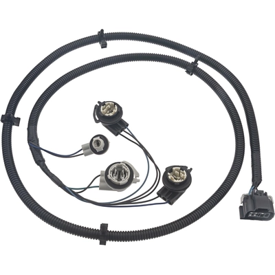 Tail Light Harness by BLUE STREAK (HYGRADE MOTOR) - S2632 pa2