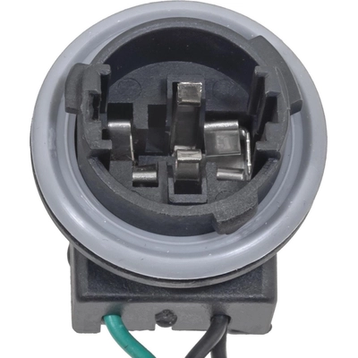 Tail Light Harness by BWD AUTOMOTIVE - PT2635 pa2