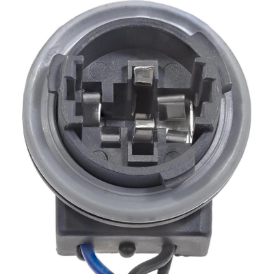 Tail Light Harness by BWD AUTOMOTIVE - PT2640 pa2