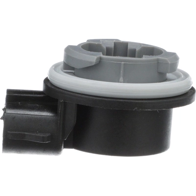 Tail Light Socket by BLUE STREAK (HYGRADE MOTOR) - S786 pa24