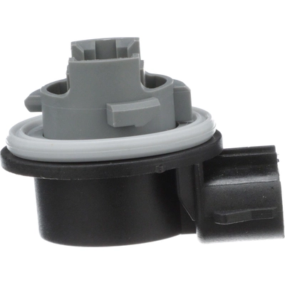 Tail Light Socket by BLUE STREAK (HYGRADE MOTOR) - S787 pa14