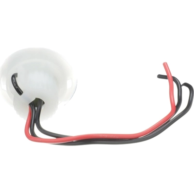 Tail Light Socket by BLUE STREAK (HYGRADE MOTOR) - S847 pa21