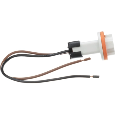 Tail Light Socket by BLUE STREAK (HYGRADE MOTOR) - S898 pa23