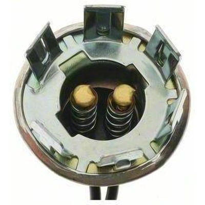 Tail Light Socket by BLUE STREAK (HYGRADE MOTOR) - S44 pa16