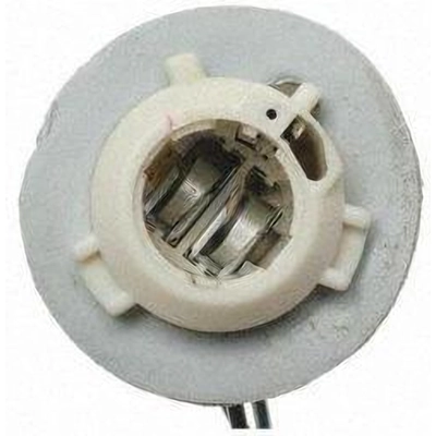 Tail Light Socket by BLUE STREAK (HYGRADE MOTOR) - S531 pa26