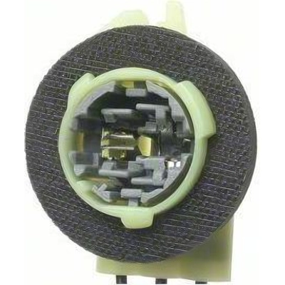 Tail Light Socket by BLUE STREAK (HYGRADE MOTOR) - S584 pa24