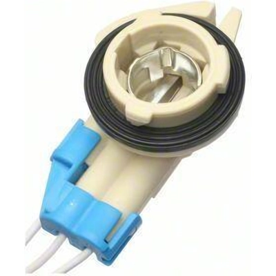 Tail Light Socket by BLUE STREAK (HYGRADE MOTOR) - S829 pa22
