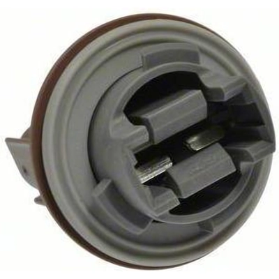 BLUE STREAK (HYGRADE MOTOR) - S874 - Tail Light Socket pa16